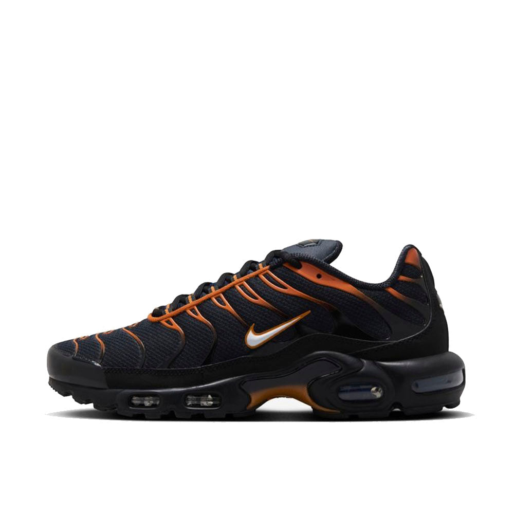 NIKE AIR MAX PLUS FN6949 400