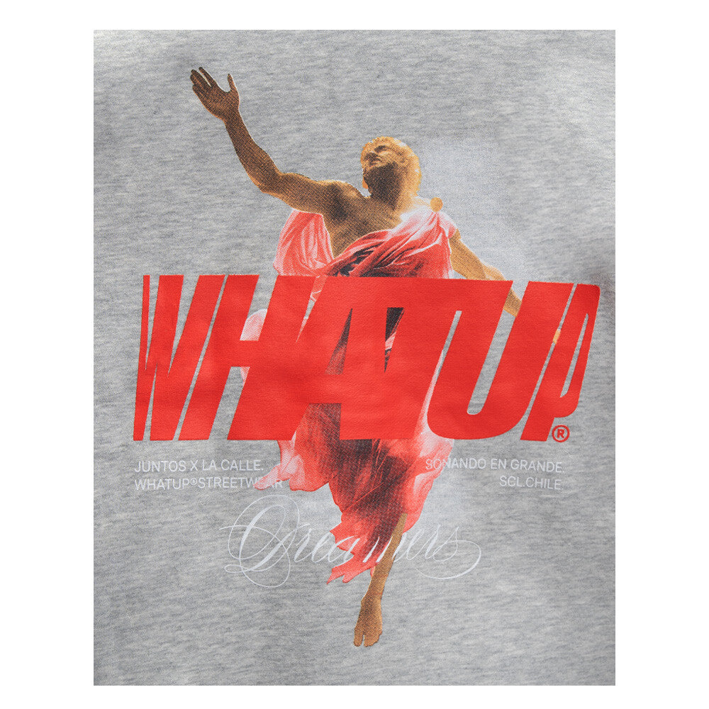 POLERON WHATUP WUPOLI2531 GREY